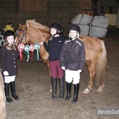 Anden særlig race Charlie