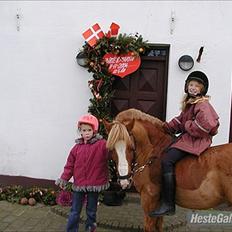 Anden særlig race Charlie