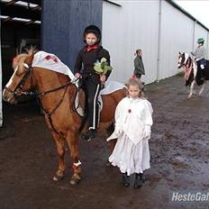 Anden særlig race Charlie