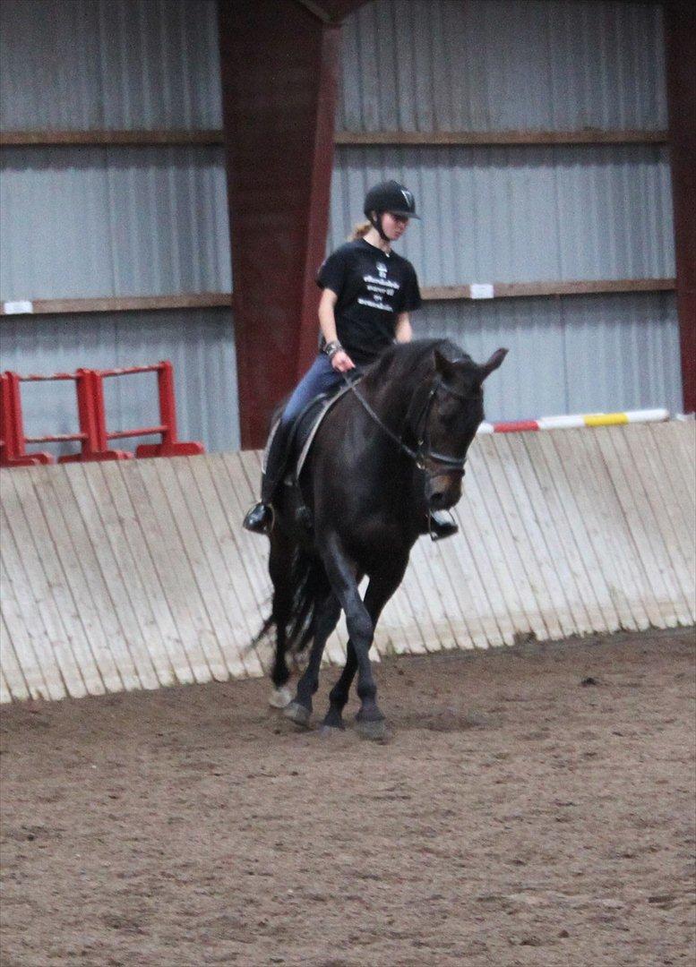 Oldenborg Chatello billede 3