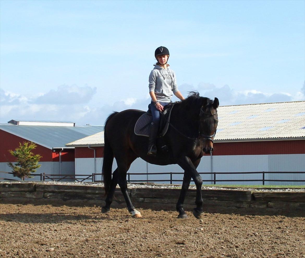 Oldenborg Chatello billede 6