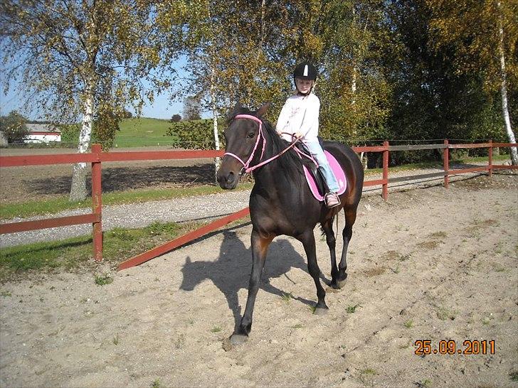 Traver Jettes Pride billede 10