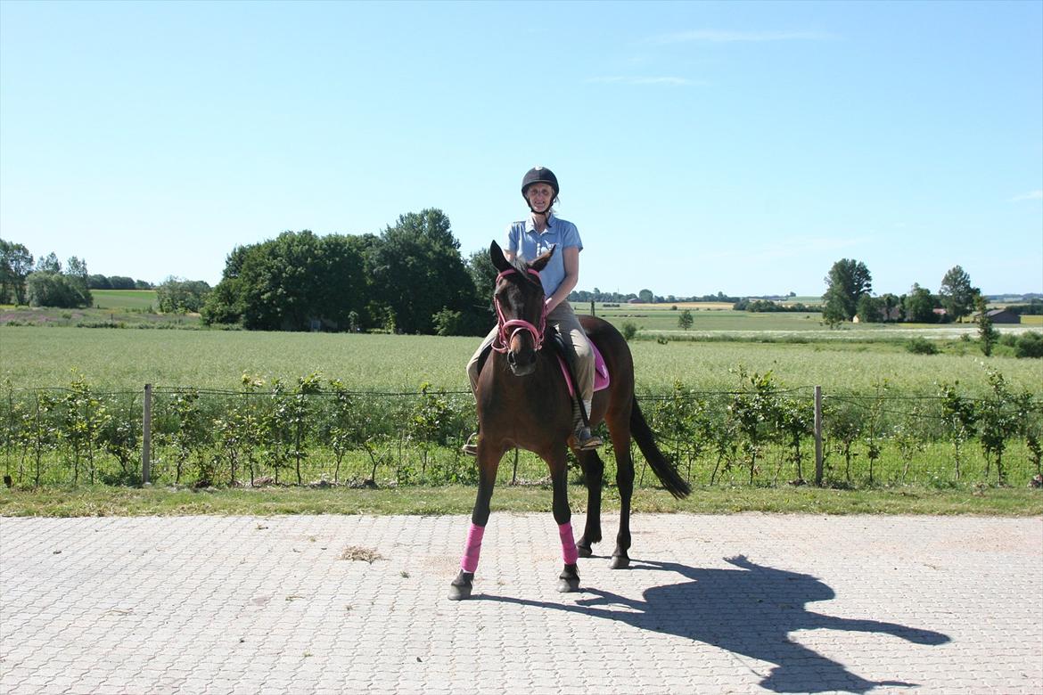 Traver Jettes Pride billede 11