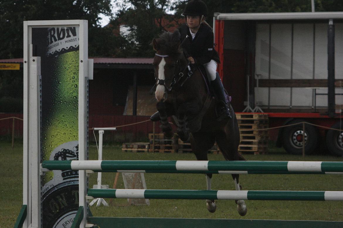 DSP Salsmoses Princess billede 4