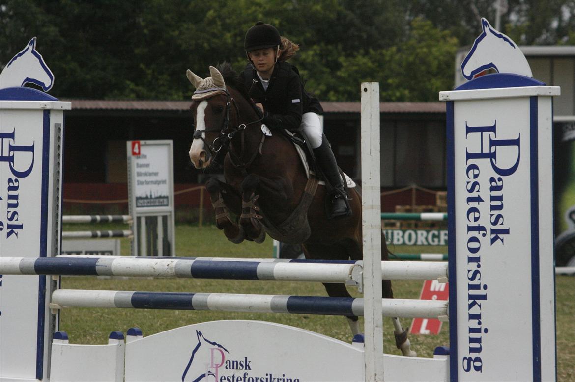 DSP Salsmoses Princess billede 5