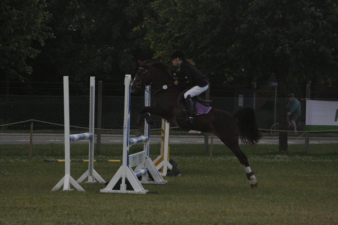 DSP Salsmoses Princess billede 7