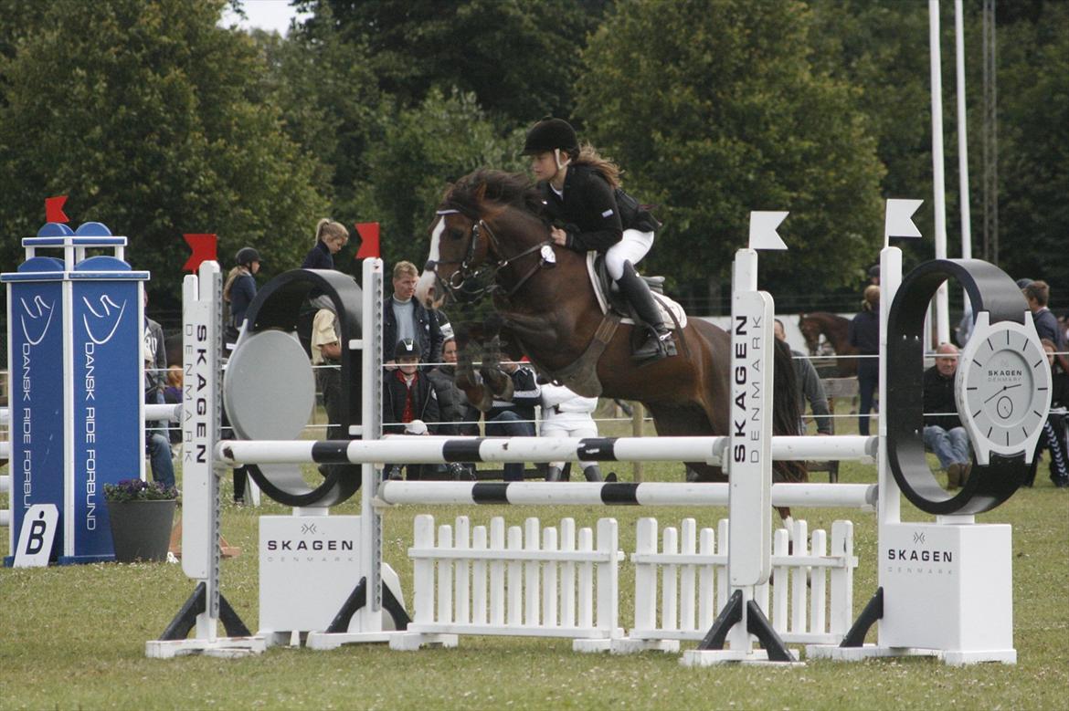 DSP Salsmoses Princess billede 9