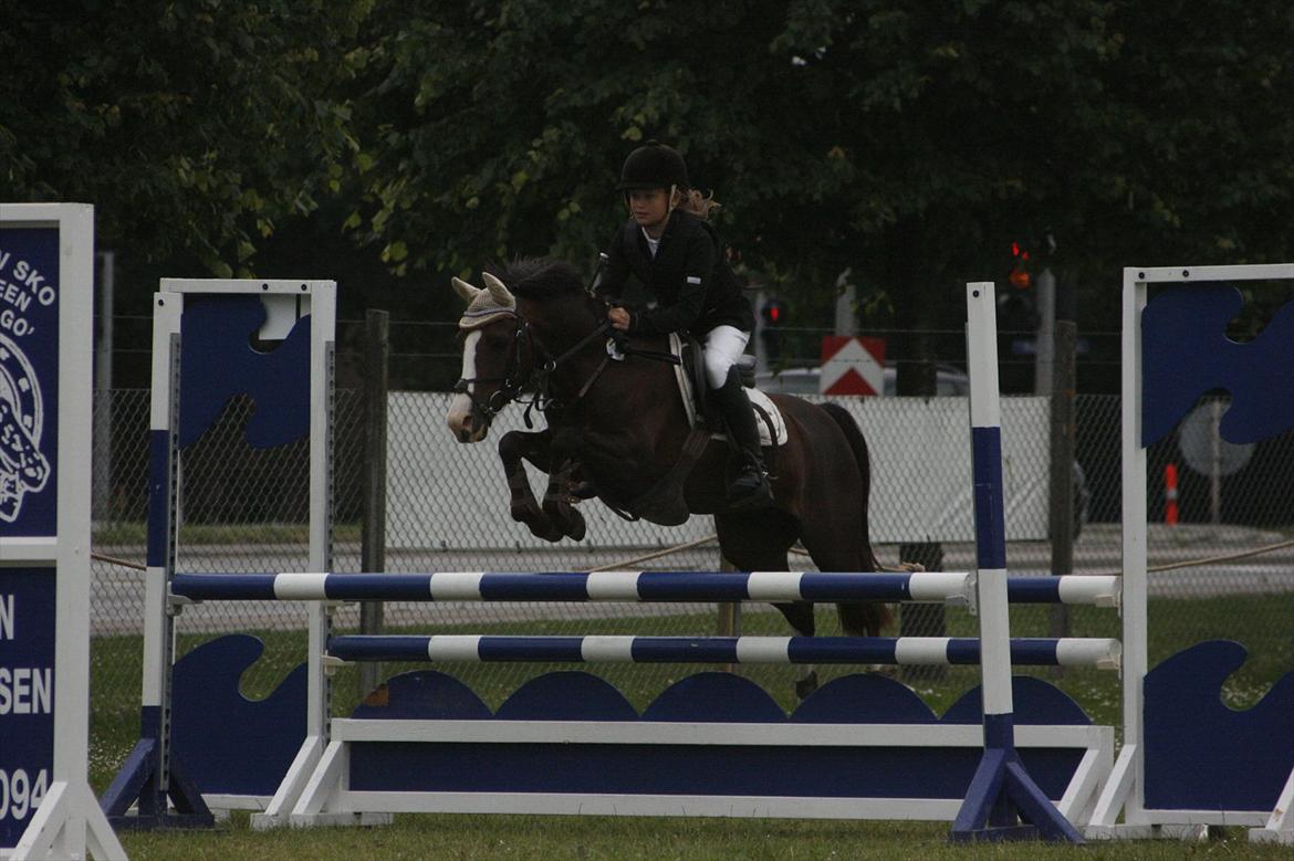 DSP Salsmoses Princess billede 11