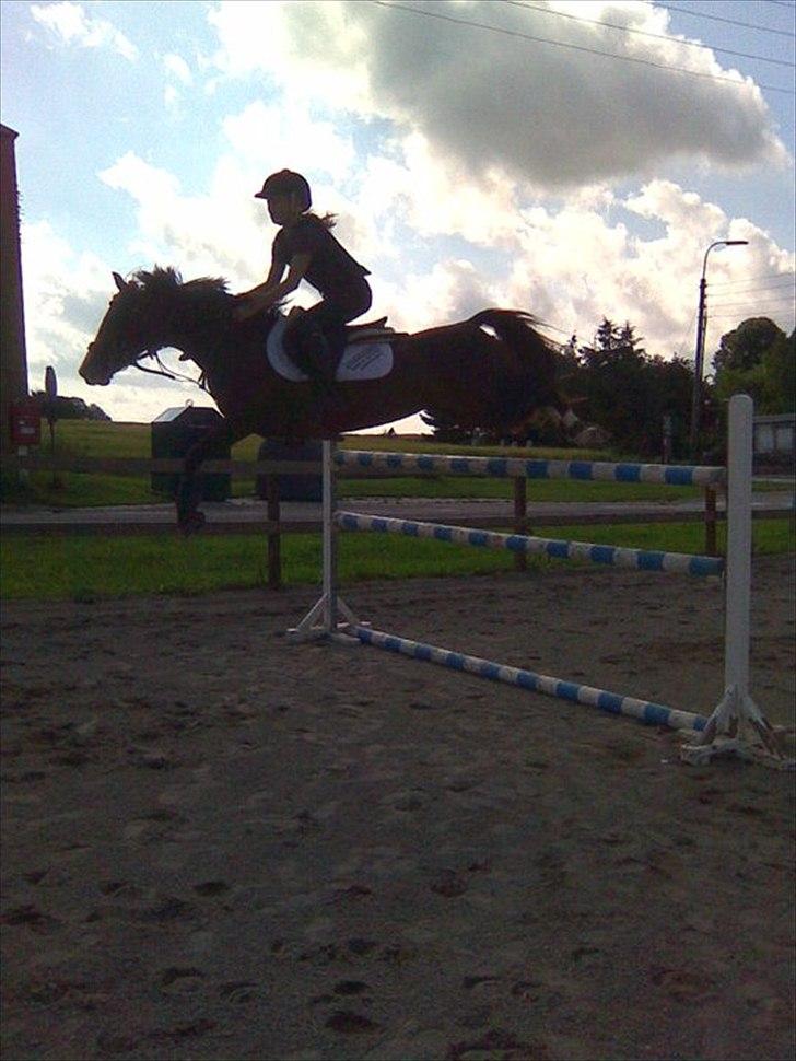 DSP Salsmoses Princess - 129<3 billede 12