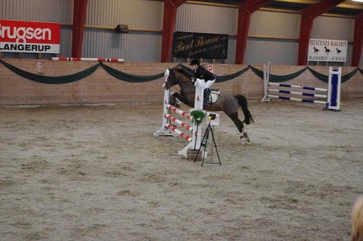 DSP Salsmoses Princess billede 13