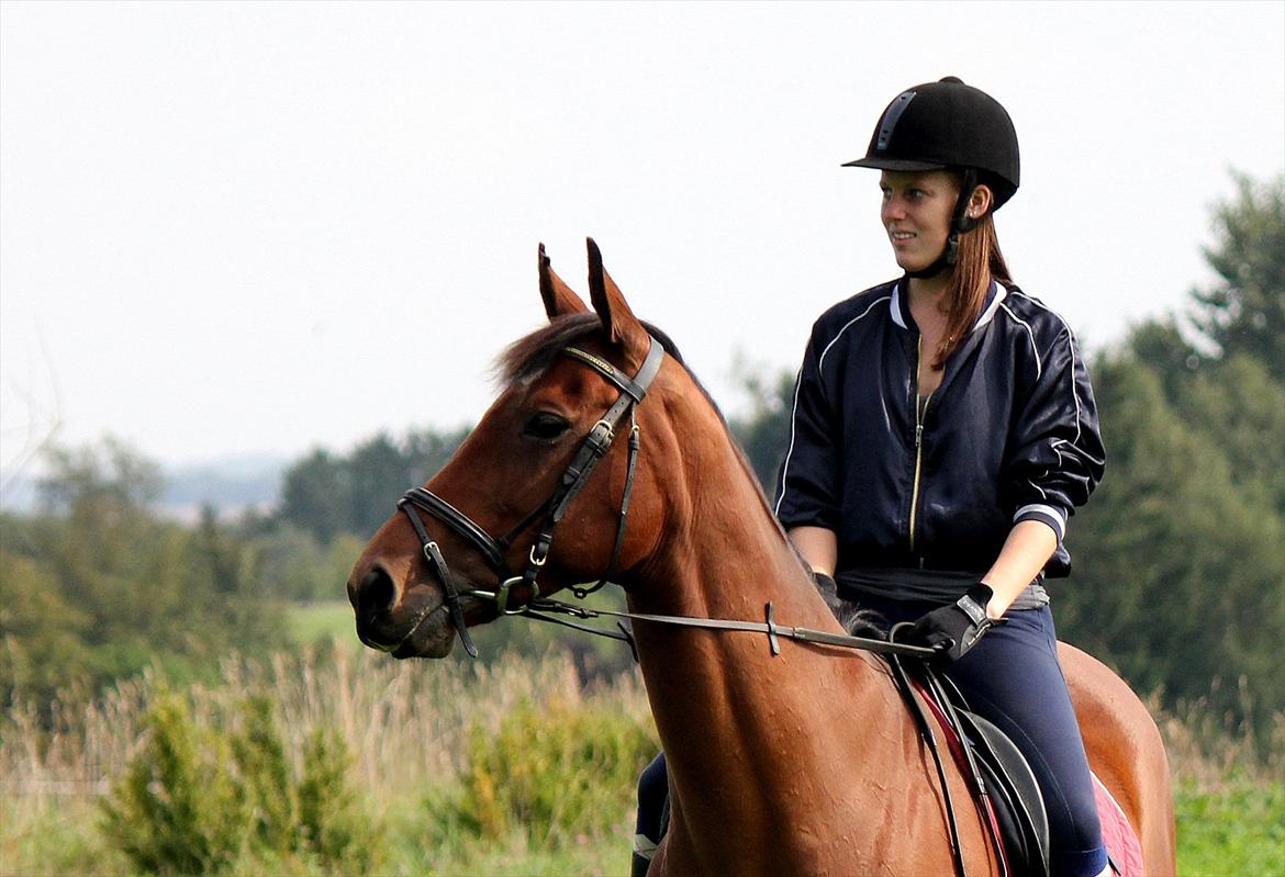 Fuldblod (XX) Amiga billede 20