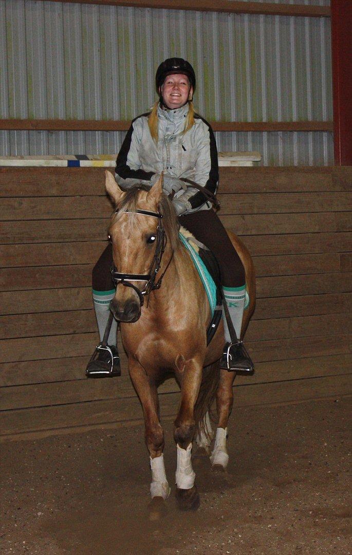 Palomino Surprise (har lånt) - GLAD :D billede 12