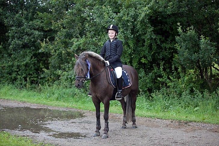 Anden særlig race Laban  - Velkommen til Labans profil! Giv gerne en bedømmelse og kommentar :)
2. plads i spring :D billede 1