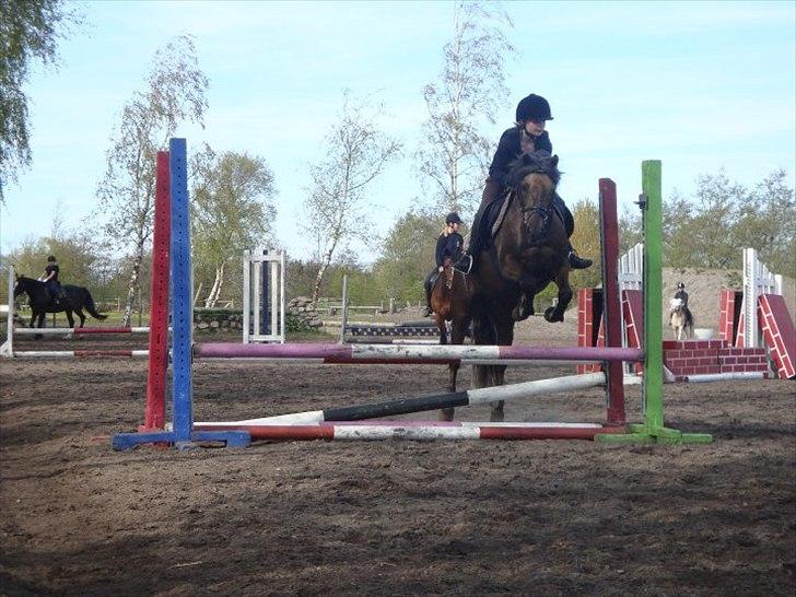 Anden særlig race Laban  - Spring time :) billede 2