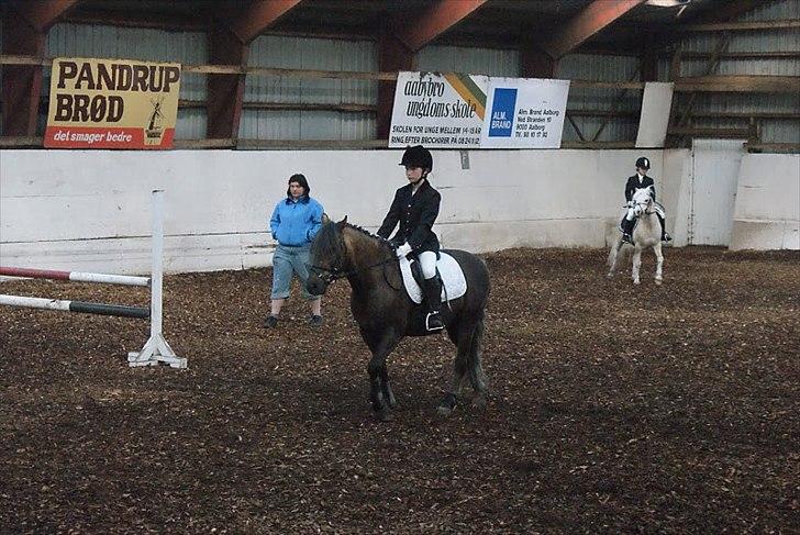 Anden særlig race Laban  - LD1 første stævne :D billede 5