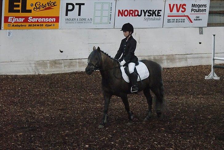 Anden særlig race Laban  billede 6