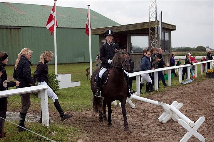 Anden særlig race Laban  - LD spring i JMR :D billede 8