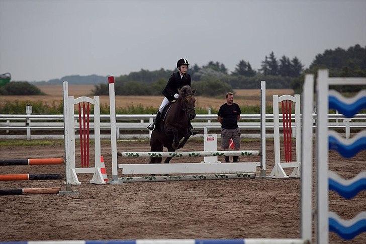 Anden særlig race Laban  billede 9