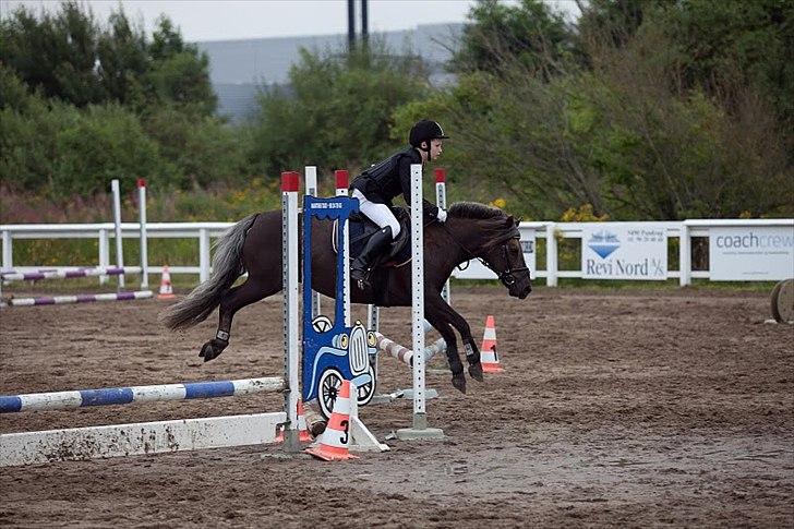 Anden særlig race Laban  - Hop pony!! :D<3 billede 10