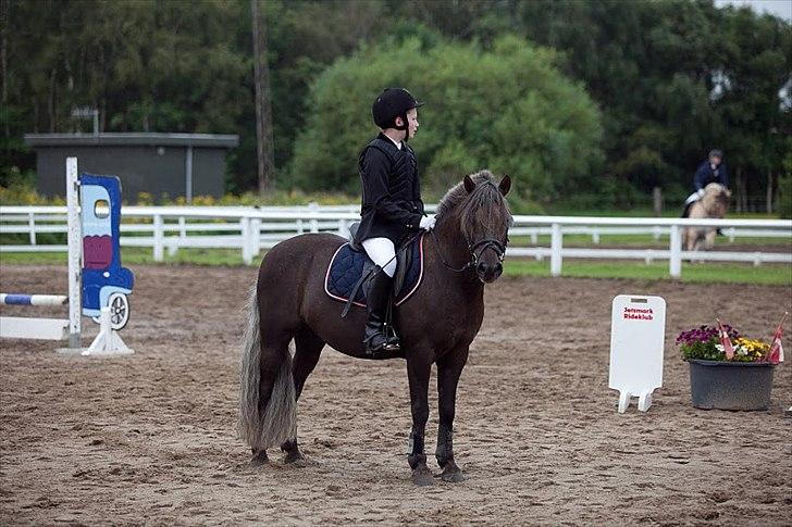 Anden særlig race Laban  - Præmieoverrækkelse :D billede 11