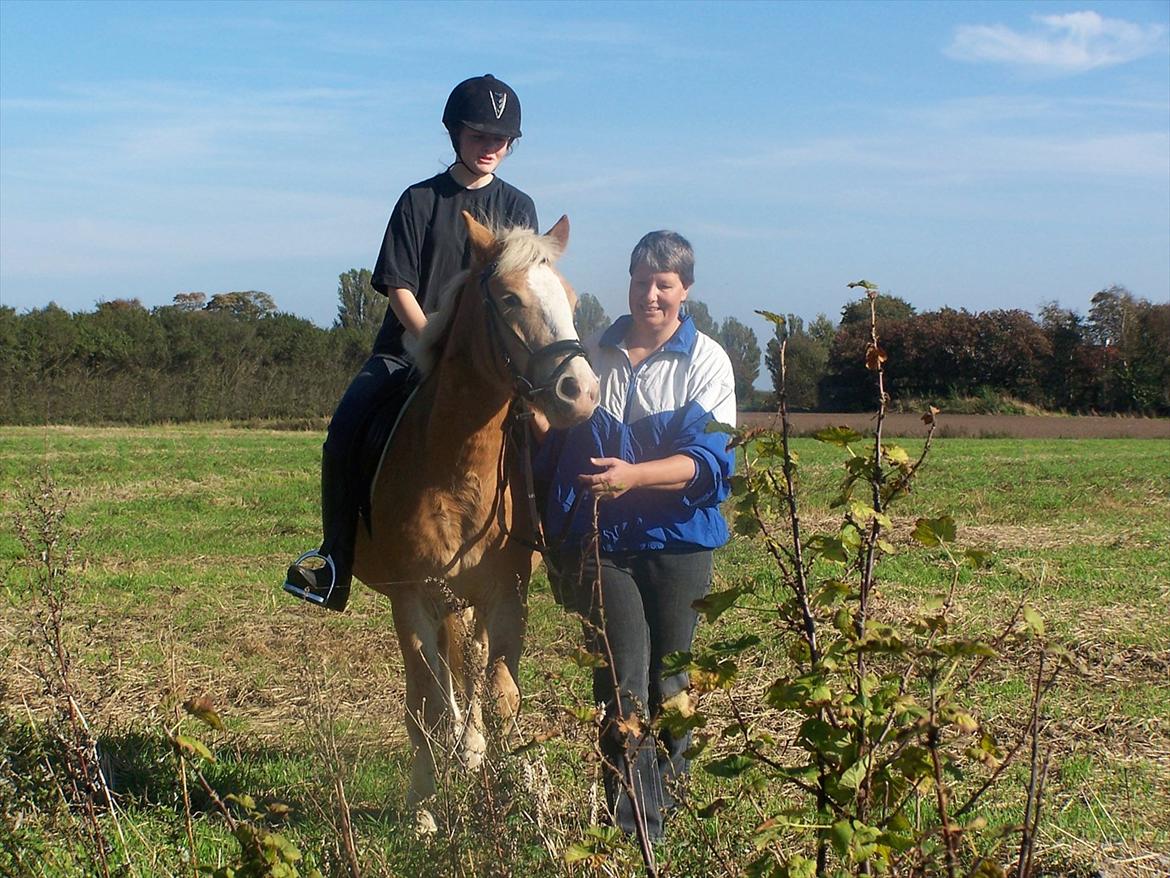 Haflinger Pegas - første gang med rytter billede 9