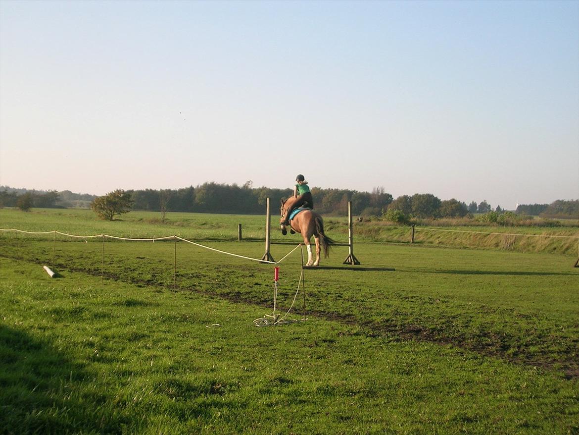 Anden særlig race B.S - Godt spring..<3<3 billede 8