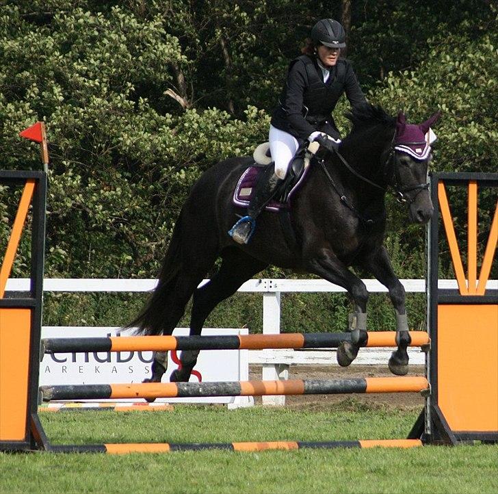 Holstener Bjerglunds Cassiane billede 9