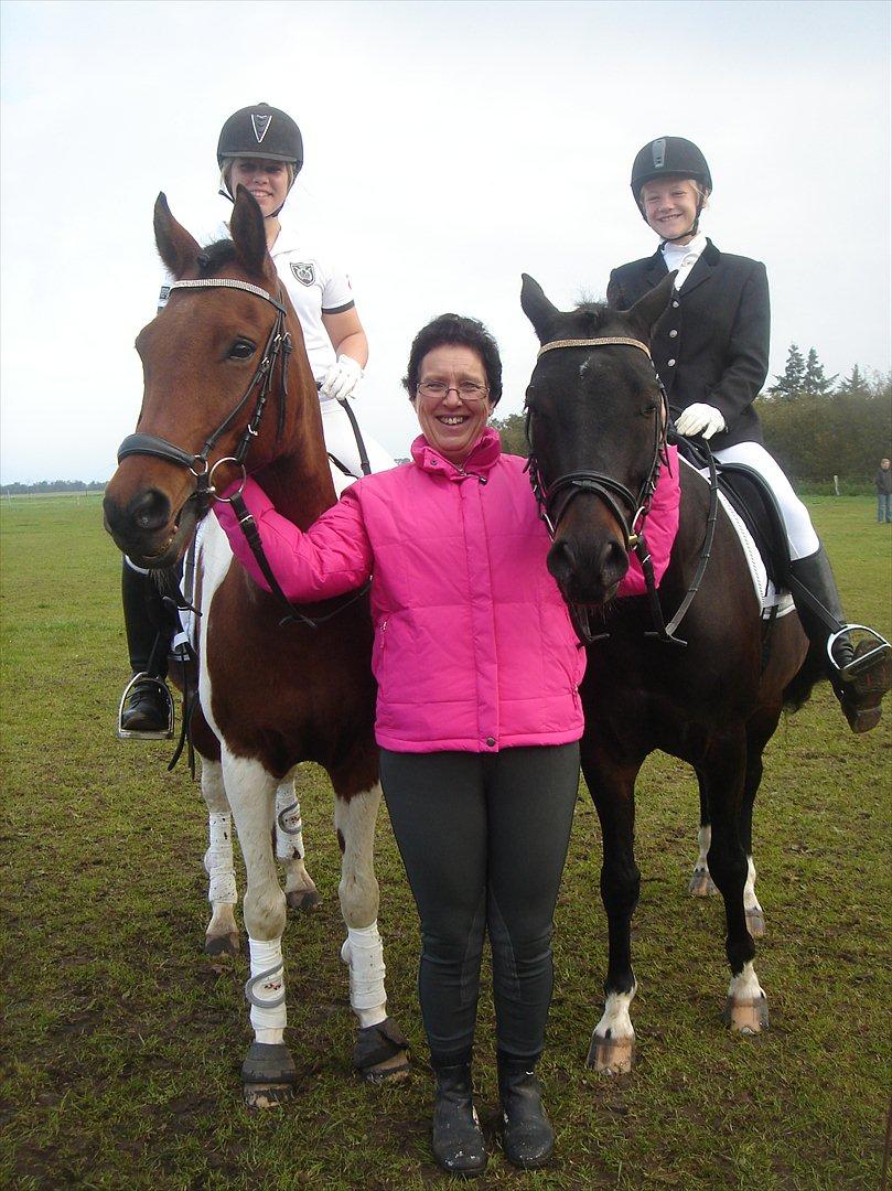 Hollandsk Sportspony Elmelunds Dalton - Dalton & Freki og den meget stolte ridelære ;) billede 13