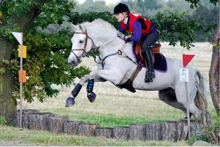 Holstener Quintina  - Bornholm - første CNC 90 <3 billede 1