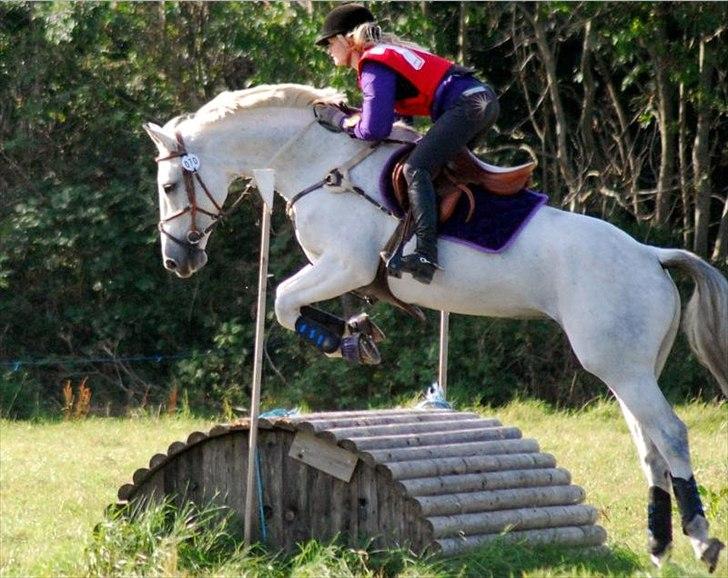 Holstener Quintina  - CNC 90 - opvarmning  billede 12