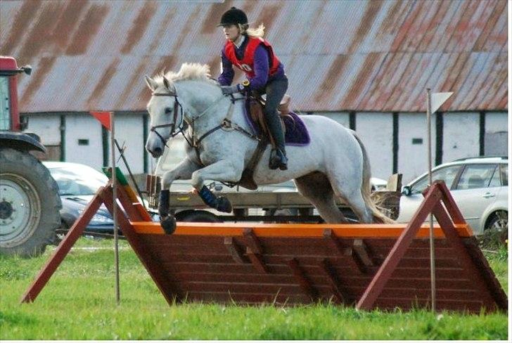 Holstener Quintina  - Sidste spring !! 4 sekunder før tid <3  billede 5