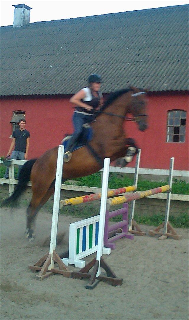 Anden særlig race Santos billede 7