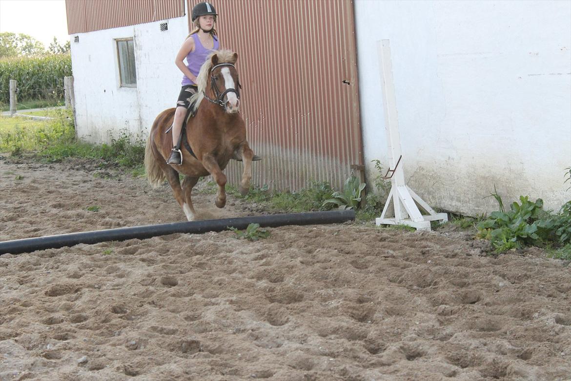 Anden særlig race mathilde - gammelt billed!<3 billede 2