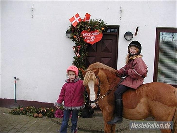 Anden særlig race Charlie - til mor og fars kobberbryllup billede 2