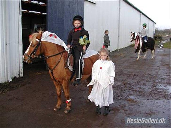 Anden særlig race Charlie - fastelavn spring billede 3