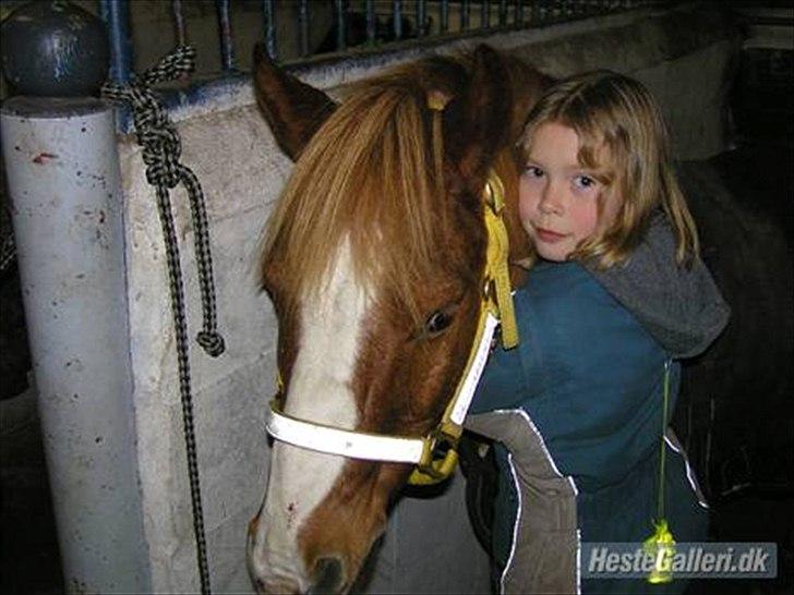 Anden særlig race Charlie - elsker dig min prins billede 5