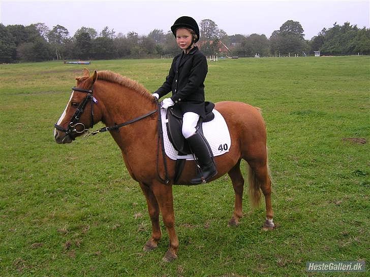 Anden særlig race Charlie - flotte dreng billede 7