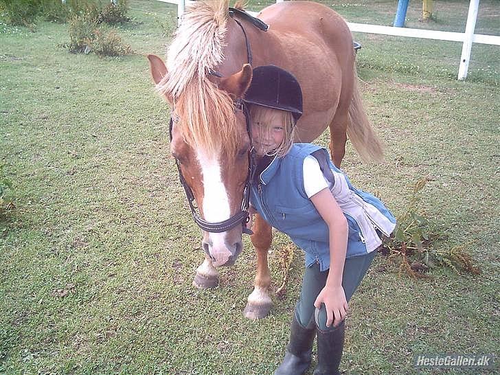 Anden særlig race Charlie - man kan gøre alt med dig? billede 9