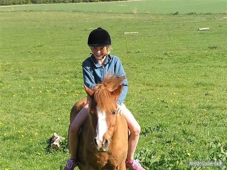 Anden særlig race Charlie - er han ikke fin?
 billede 11