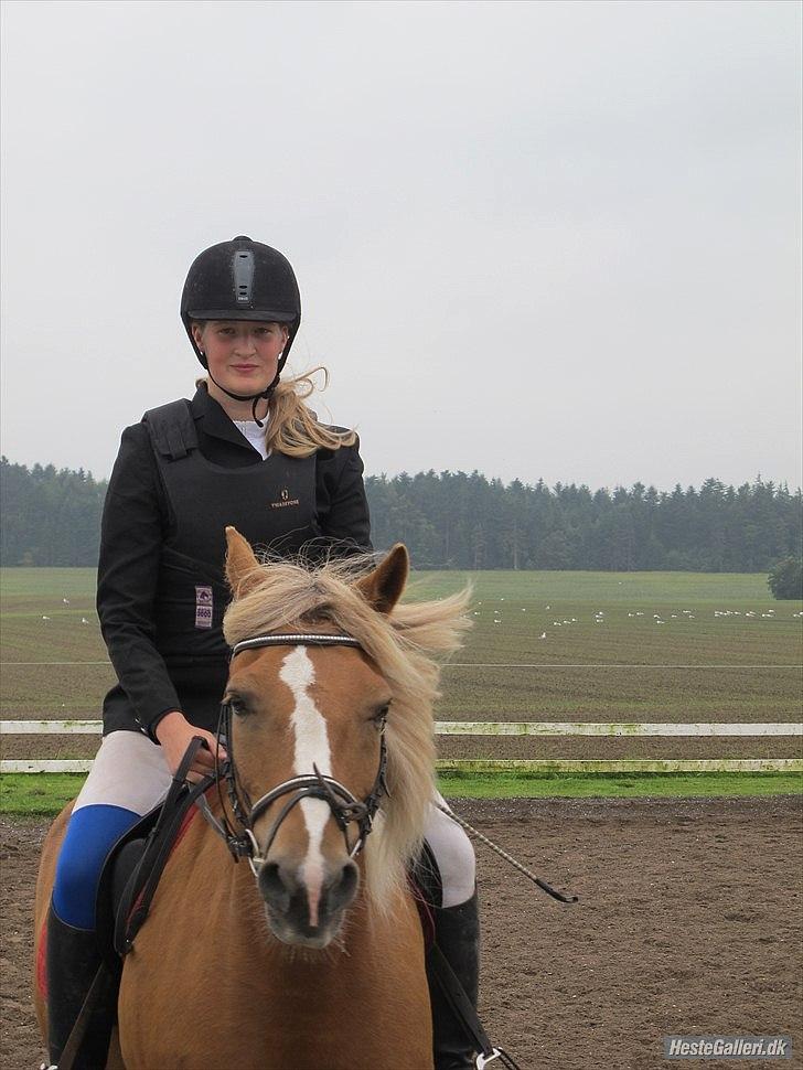 Anden særlig race Oliver (RIDER) - 18.september bjr stævne
Fotograf: CP billede 8