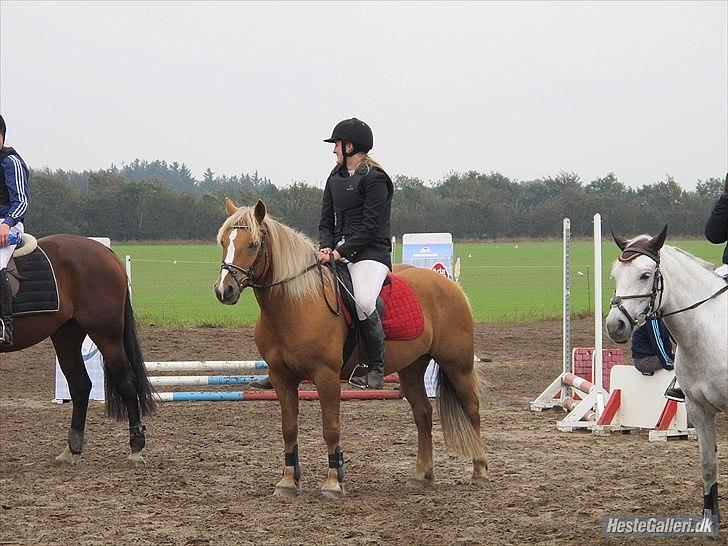 Anden særlig race Oliver (RIDER) - BJR stævne 18. september
Fotograf: CP billede 9