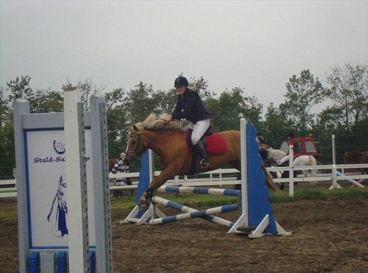 Anden særlig race Oliver (RIDER) billede 1