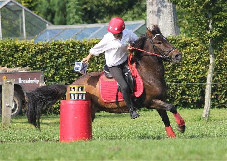 Anden særlig race Buster Larsen (I GENOPTRÆNING) - DM Hold 2011! :D
Leg : Bogstaver.  billede 13