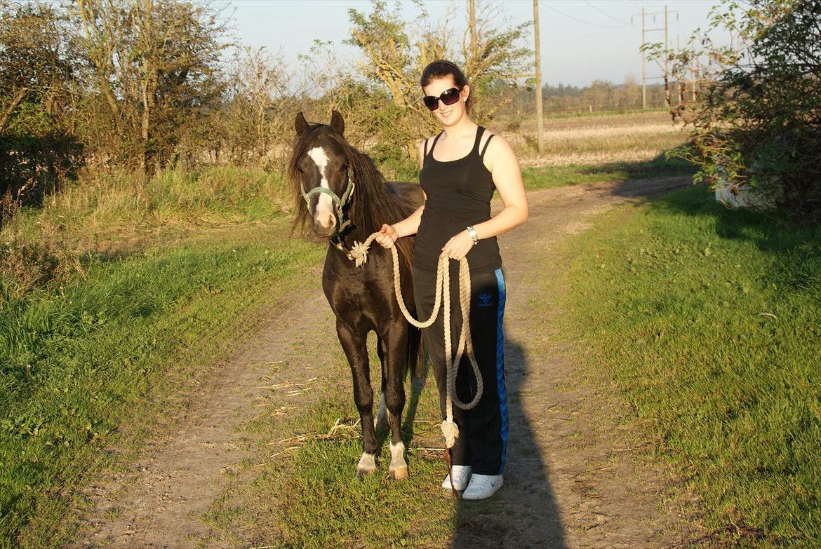 Welsh Pony (sec B) Frankenhöh's Spirit *R.I.P* <3 billede 1