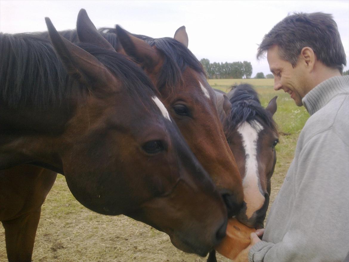 Dansk Varmblod Møllegårdens Cappuccino (Båt) - Efterår 2010. Båt hygger sig sammen med Jesper, Hugo og Jackson. billede 10