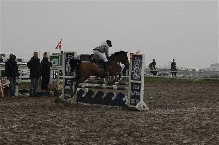 Anden særlig race Speedy the Speedfighter!<3 - Mig og speedy LA!:D billede 13