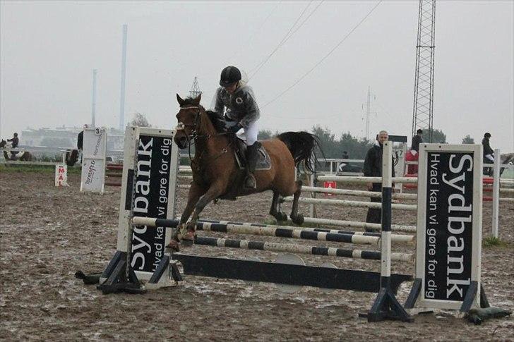 Anden særlig race Speedy the Speedfighter!<3 - I LA!(-: billede 15