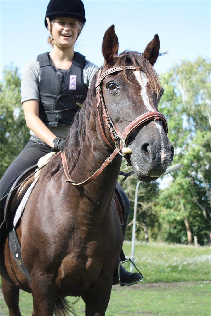 Anden særlig race Dina - Velkommen til Dina's profil :')! billede 2