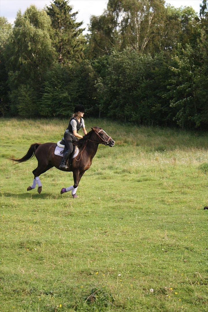 Anden særlig race Dina - Galop tur :') billede 16