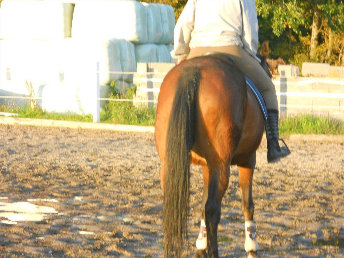 Traver Cindy Vestermarken (Aflivet) (Prinsessen<3) R.I.P - Farvel Tak fordi du kiggede forbi :D

Læg gerne en Kommentar og en Bedømmelse :)

Foto: Cathrine billede 23